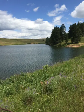 The Perfect 'Get Away' Beautifully Crafted Log Cabin On Private Reservoir