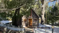 Fairytale Themed Secluded Cabin- Pets ok, King Bed, Fast Wi-Fi!