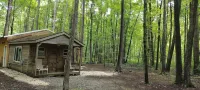 Cabin in the woods. Minutes to Pymatuning Lake. - Chalets
