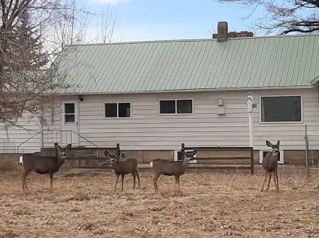 Get away from the hustle and bustle in an outdoor paradise!