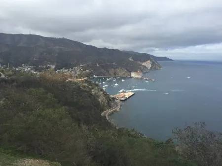 Spacious Hamilton Cove Condo With Golf Cart Included.