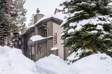 Remodeled Nov ‘22 Cozy Mammoth Condo - Walking Distance to Canyon Lodge