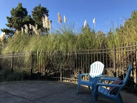 2 BLOCKS to BEACH!! 3 bedroom FAMILY & DOG- FRIENDLY w/FENCE! Close to Pelican!