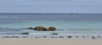 Petite Maison Proche Bourg et à 4km des Plages de Sable Blanc