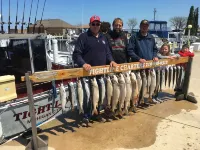 Adorable cottage in the Michiana Shores area! Close to Lake Michigan and Dunes Hotels in LaPorte County