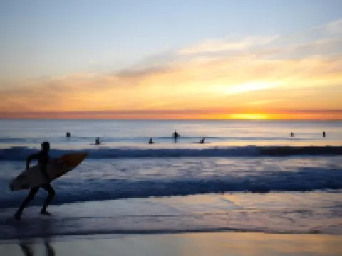 Scarborough Apartments