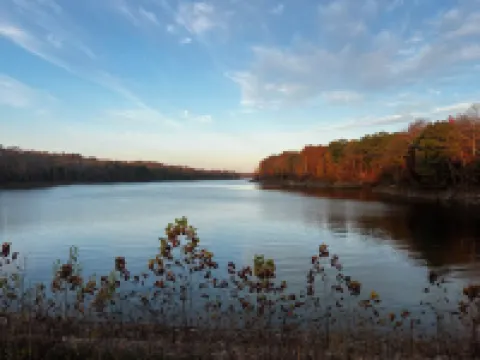 Patoka Lake Cabin-Lake Pointe Cabin-Hoosier National Forest-New in 2024!