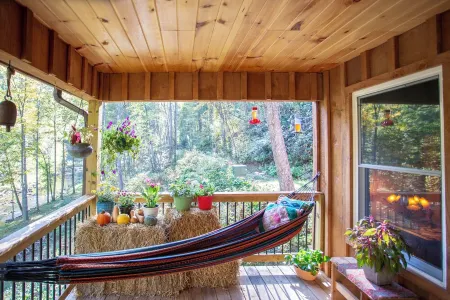 River cabin on 45 acres of private mountain land PET FRIENDLY