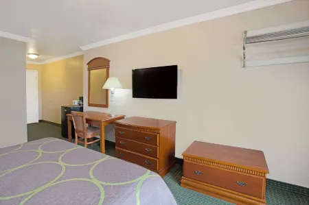 Super 8 by Wyndham Hollywood/La Area Отели рядом с достопримечательностью «Holyland Exhibition»