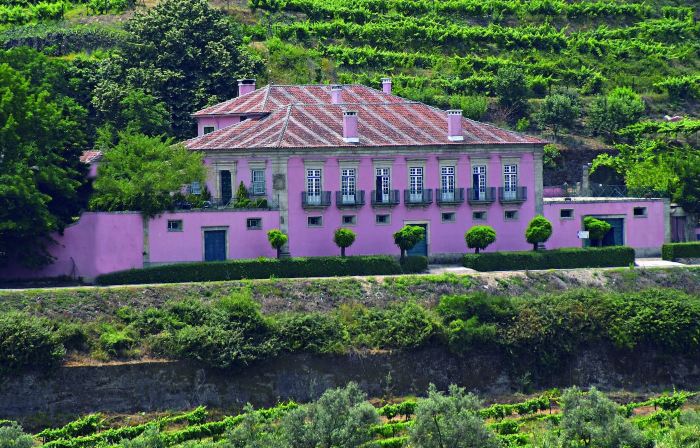 Casa Dos Varais, Manor House