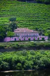 Casa Dos Varais, Manor House - Wifi
