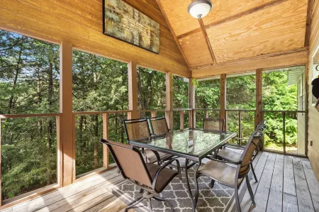 Baldknobber Ridge Escape - West Branson Cabin!