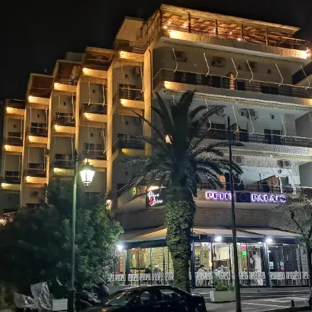 Petit Palais Hotel