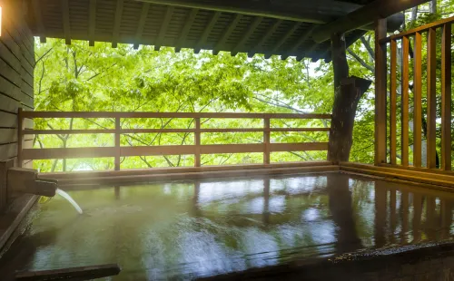 Kishigon Ryokan - bar