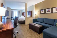 Comfort Suites Denver Near Anschutz Medical Campus - 2 stjerner