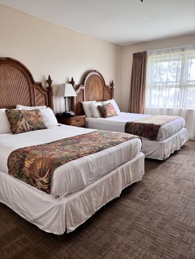 パークビュールーム(ご利用人数4名) ボルケーノ ハウスの写真