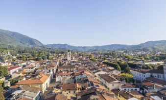 Lounge Flat Camaiore Wifi Versilia Coast