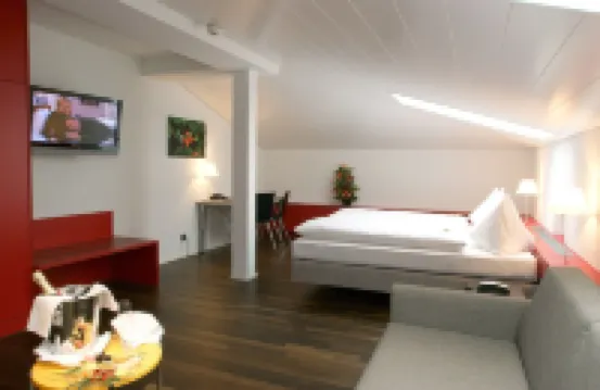 Hotel Spirgarten Hotels near Altstetten