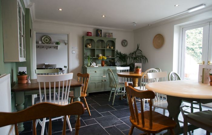 Olive Tree Guest House