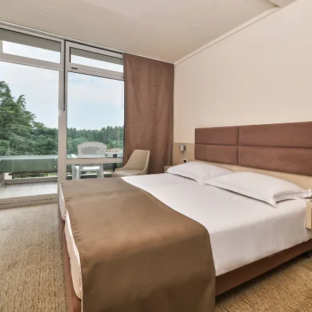 Hotel Mediteran Plava Laguna