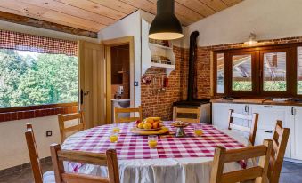 Holiday Home in Ogulin with Pool & Rafting