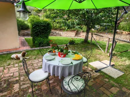 Farmhouse with Stables Horses and the Ability to Make Horseback Riding