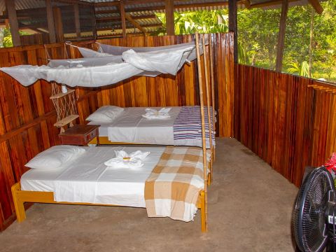 Tronco Tambopata Adventure