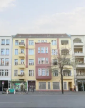 Homaris Boxi Studios