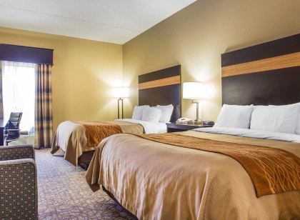 컴포트 인 & 스위트 앳 스톤 마운틴