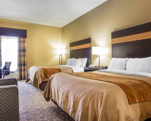 Comfort Inn & Suites at Stone Mountain Hotels in Mountain Park