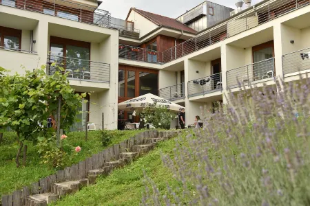 Hotel Bonvino Wine & Spa Отели в г. Бадачоньтомай