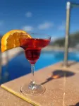 Europa Beach Hotel - bar