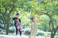 Teihaku Chichibu Nagatoro Folk House Rental Hotels in Yorii