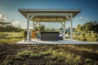 New - Hawaiian Tin Shack