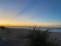 Spectacular Retreat - Parking, Library, Beach Access Hotels in Michigan City