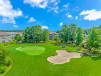 Spacious Living Area and Oversized Balcony - Charming Oasis