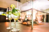 Park Plaza Trier, Germany - bar