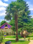 Sapanca  Şeker Bungalov Hotels in Yavuzselim Mahallesi
