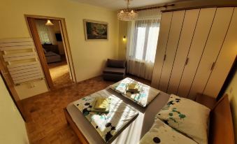 Chalet and Apartment Žonir with Sauna