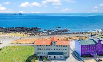 Jeju Badaaehyanggi Pension