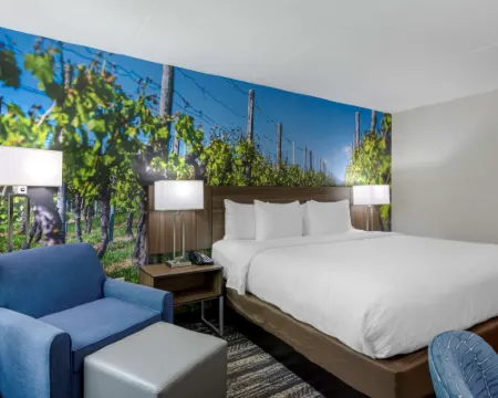 クラリオン ポイント シャーロッツビル シャーロッツヴィルのホテル