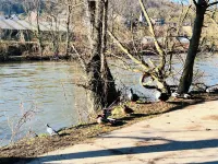 Maison proche rivière avec jardin Hotels in Esneux