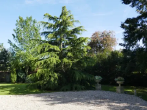 Kerrington House Hotels in Axminster