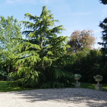 Kerrington House