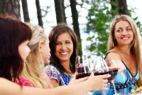 18 Vine Inn & Carriage House Hotels in Hammondsport