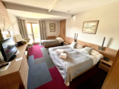 維斯格拉德酒店 維謝格拉德酒店