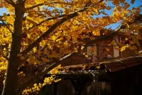 La Halte du Temps - Homestays