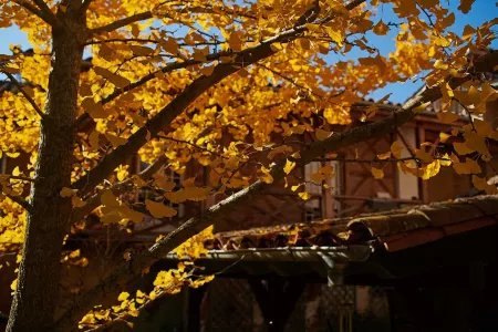 La Halte du Temps Отели в г. Ле-Фосса