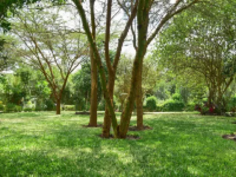 Olkeri chalete Hotels in Ngong