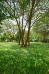 Olkeri chalete Hotels in Ngong